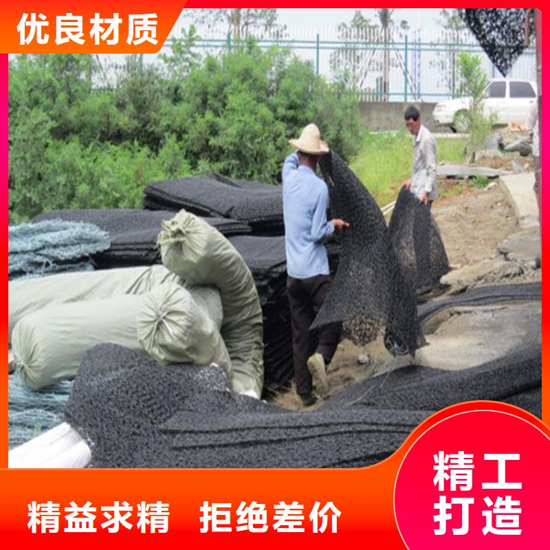 土工席墊-植草格質量可靠