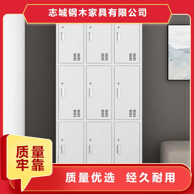 涿州兩門鐵皮柜生產廠家