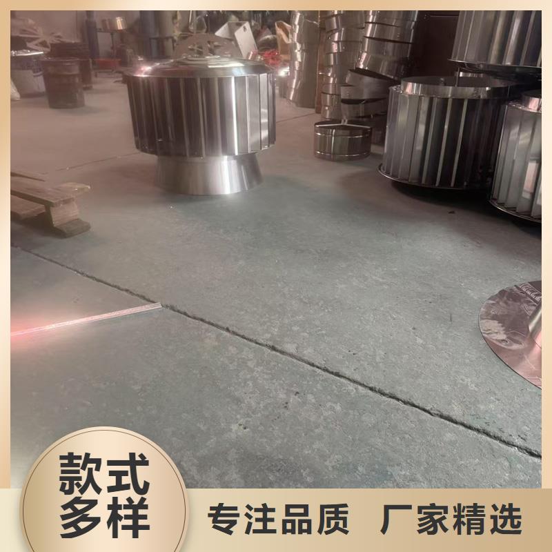 A系列A-FM-BPS300型風帽防風雪
