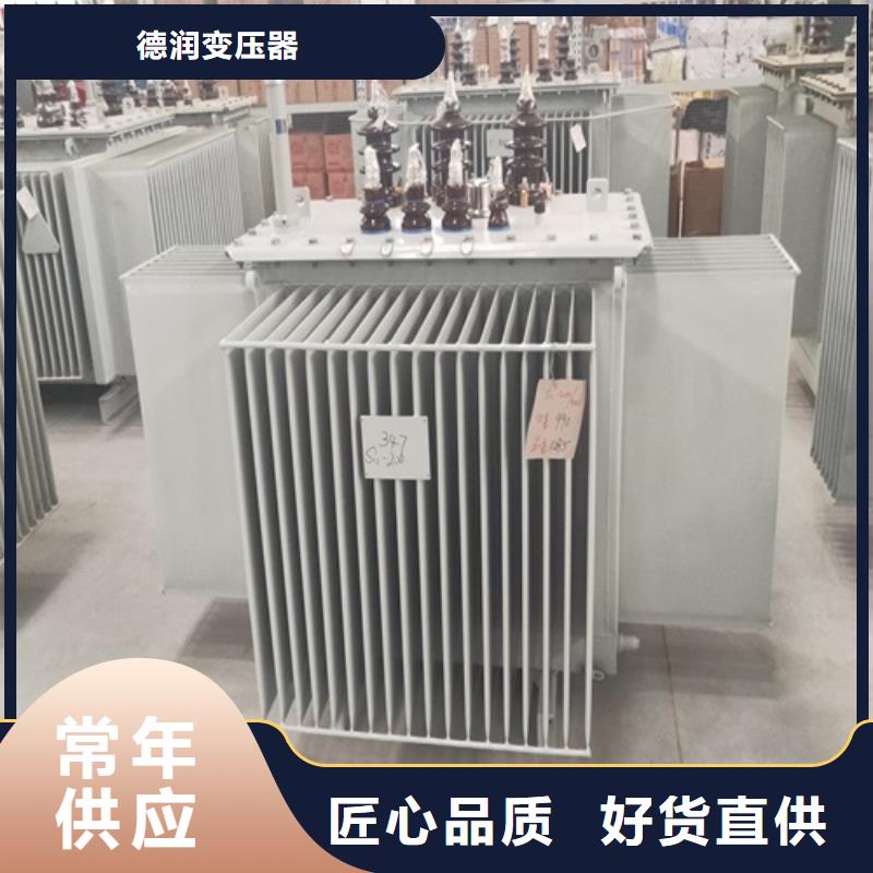 S11-100KVA/10KV/0.4KV油浸式变压器来厂考察