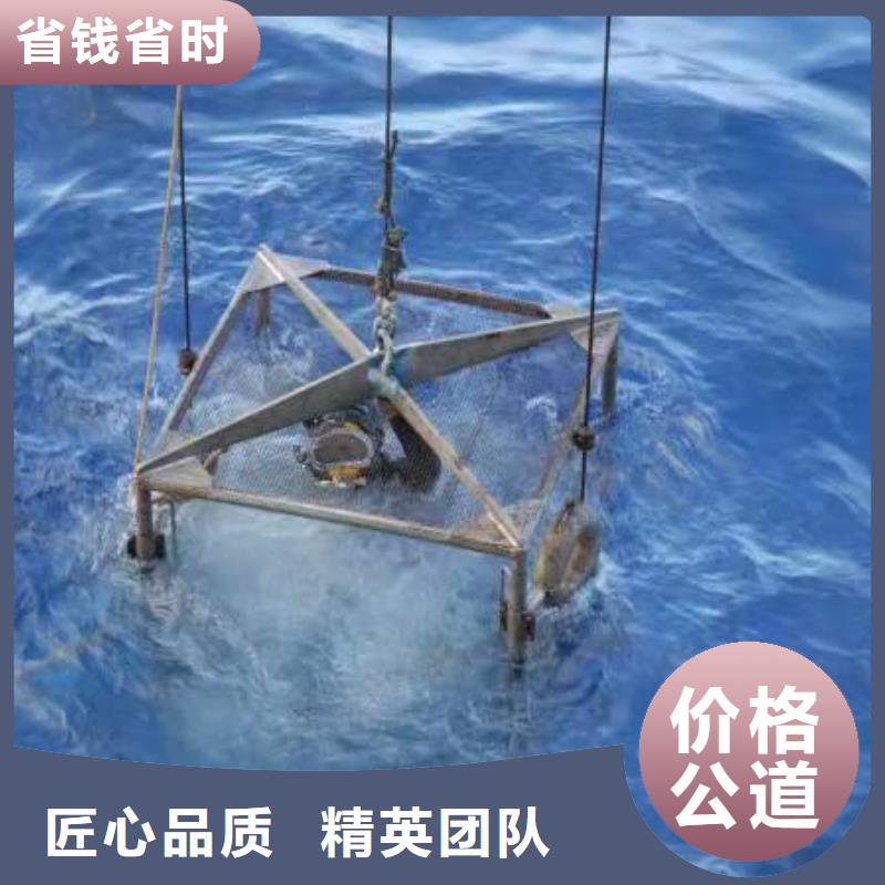 浦东新区水下打捞凶器欢迎咨询