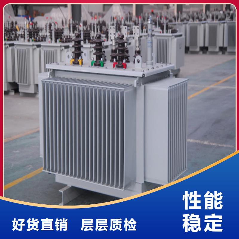 S20-m-800/10油浸式变压器生产制造厂家