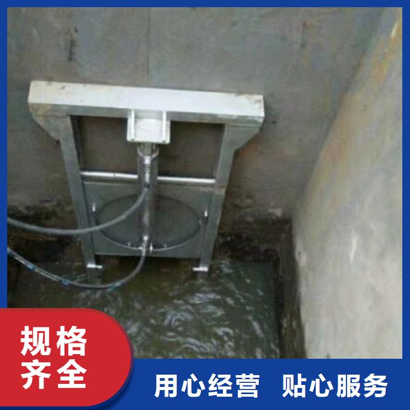 迎江区雨水污水泵站闸门