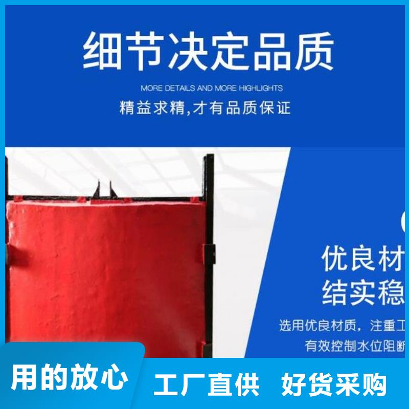 大姚智能截流井闸门省级水利示范厂家