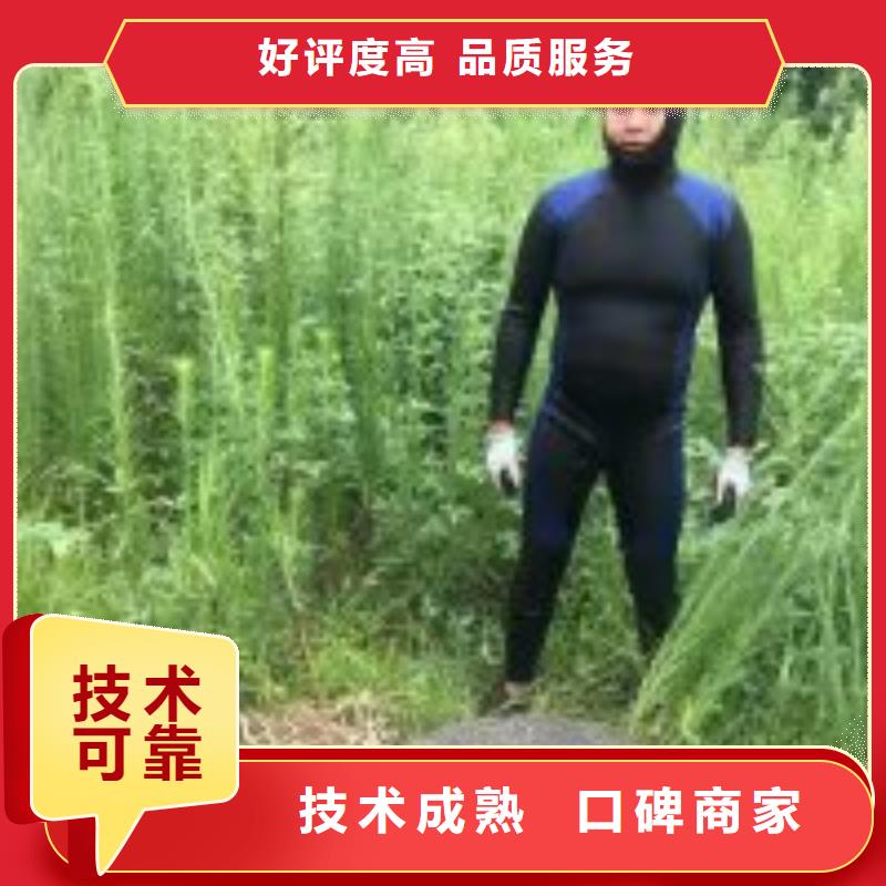 潜水服务公司_水下照相服务多家服务案例