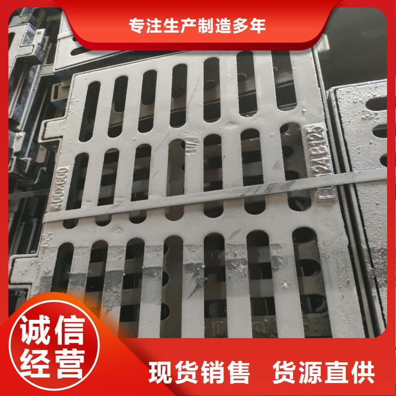 嵩明县C250标示球墨铸铁井盖厂家供应