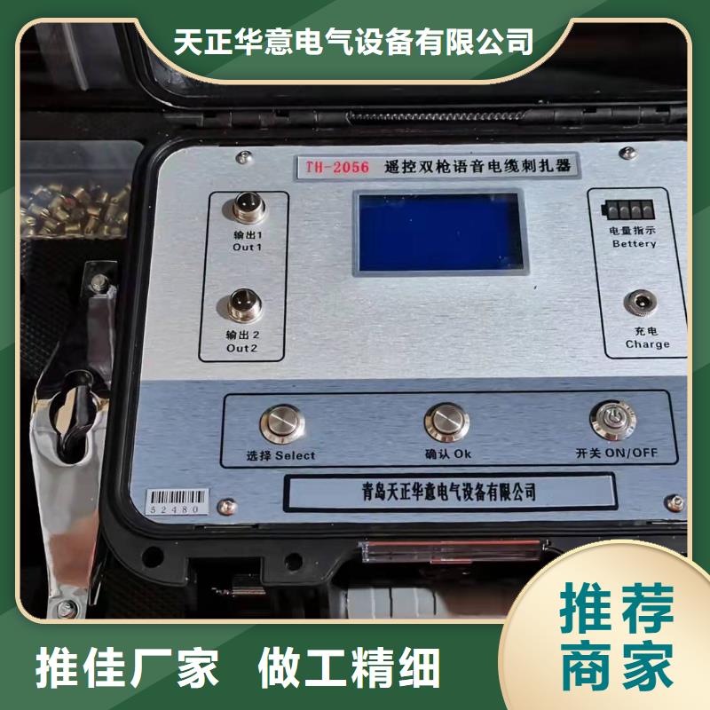 電纜故障定點儀圖片