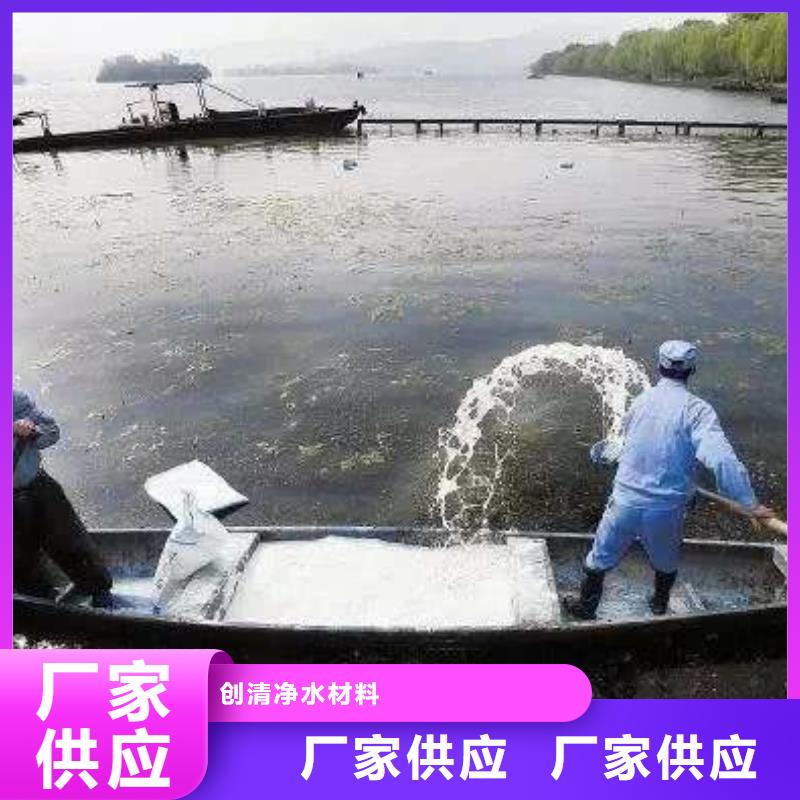 污水氨氮去除剂厂家口碑好