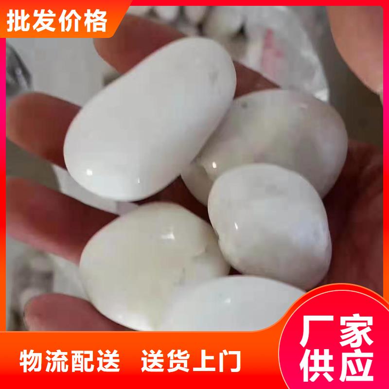 污水氨氮去除劑廠家發(fā)貨及時(shí)