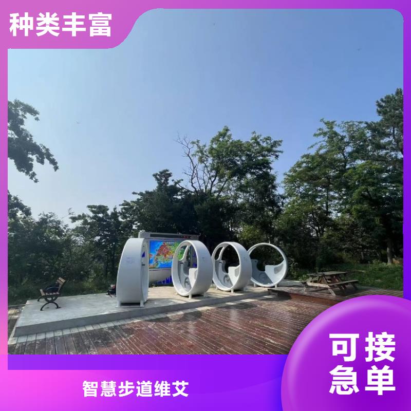 智能步道价格（支持定制）