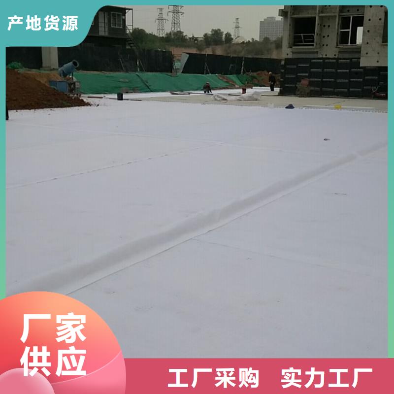 PED14高分子防护排蓄水异型片自粘土工布@行情价2024更新