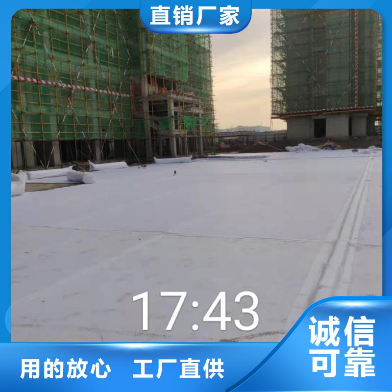 PED14高分子防护排水异形片自粘土工布询问报价