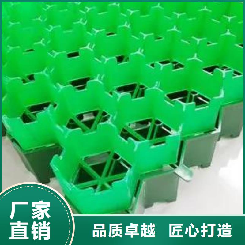 塑料植草格生产厂家