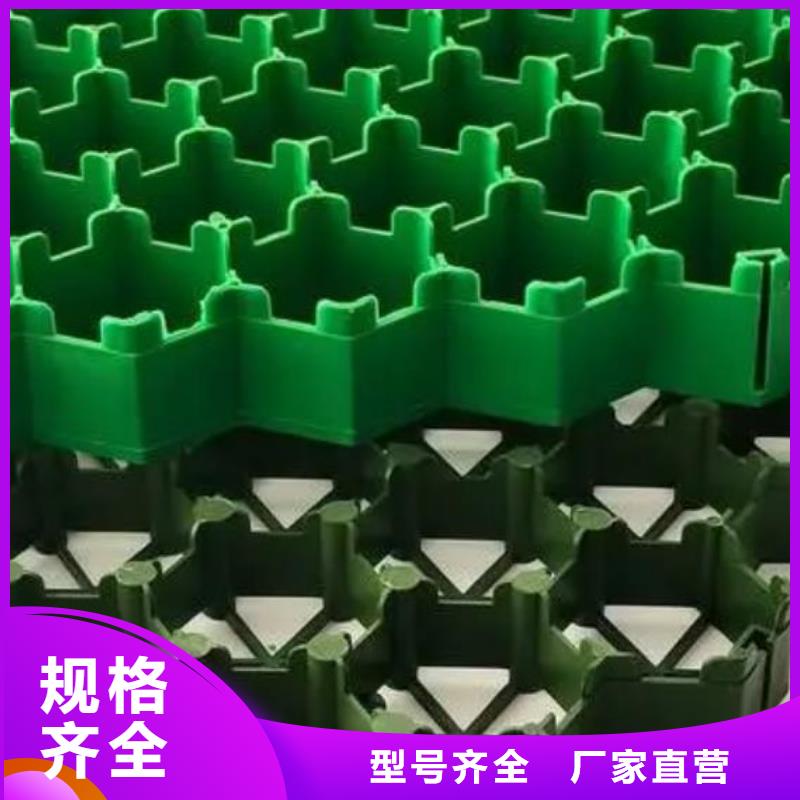 塑料植草格2024新闻