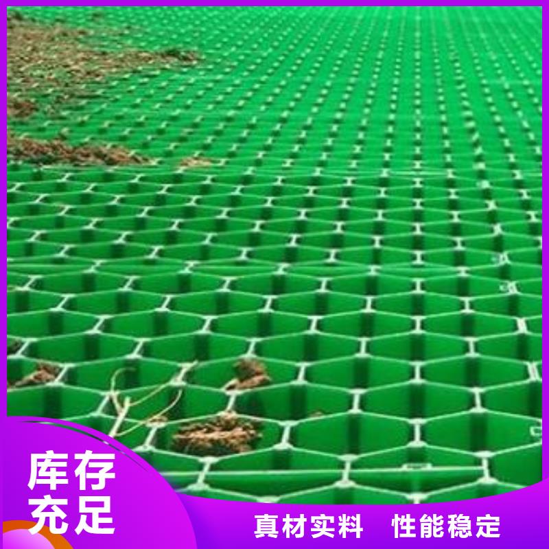 塑料植草格价格2024