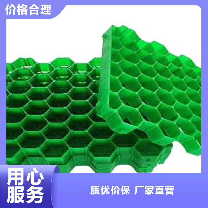 塑料植草格价格2024