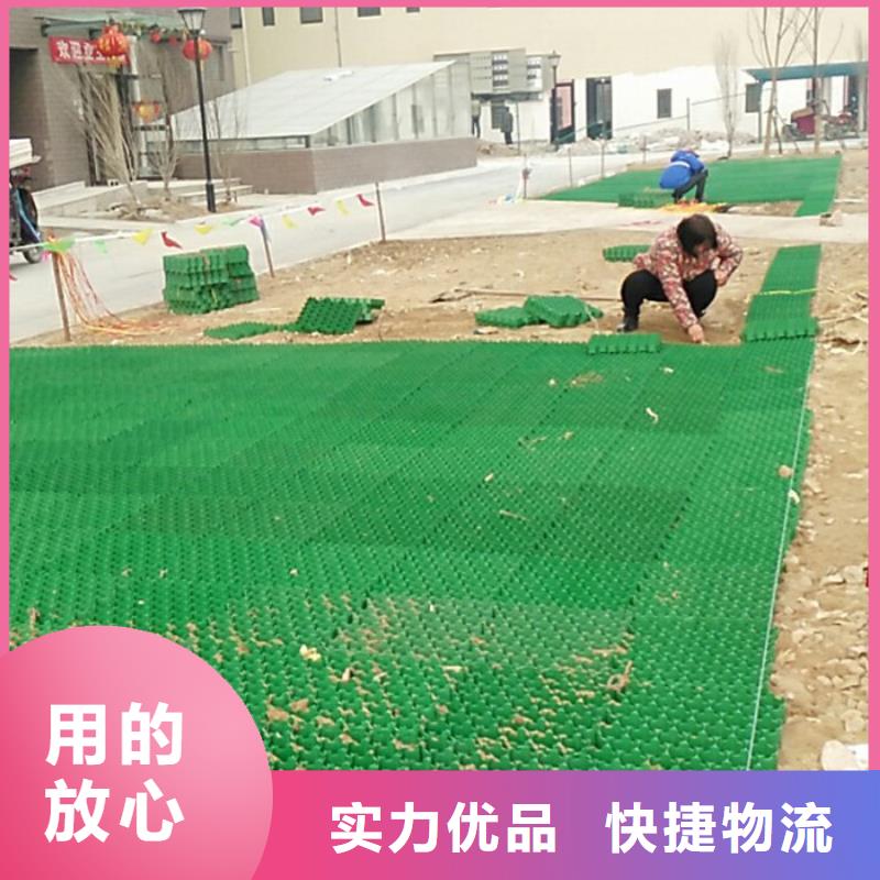 塑料植草格工厂地址及价格