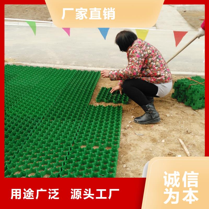 塑料植草格本地厂家-现货发售