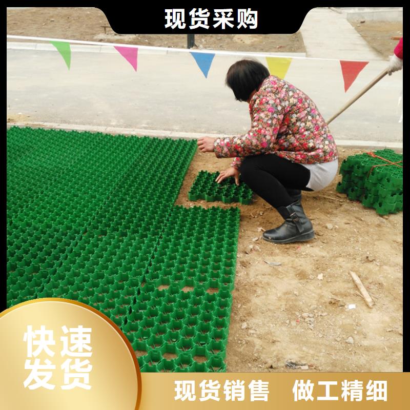 塑料植草格行情价@2024