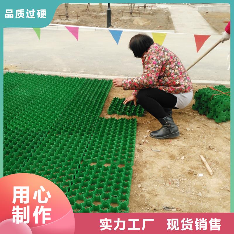 塑料植草格价格2024