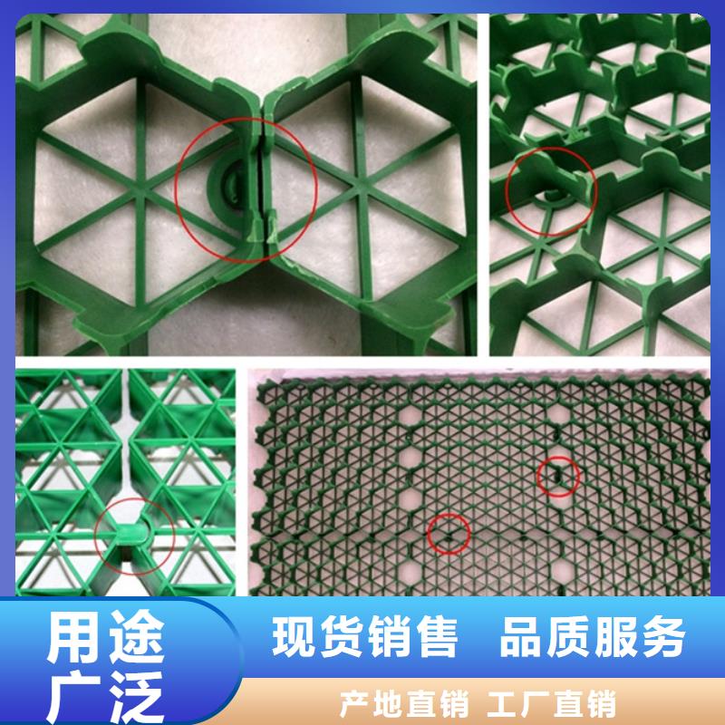 塑料植草格行情价—已更新2024