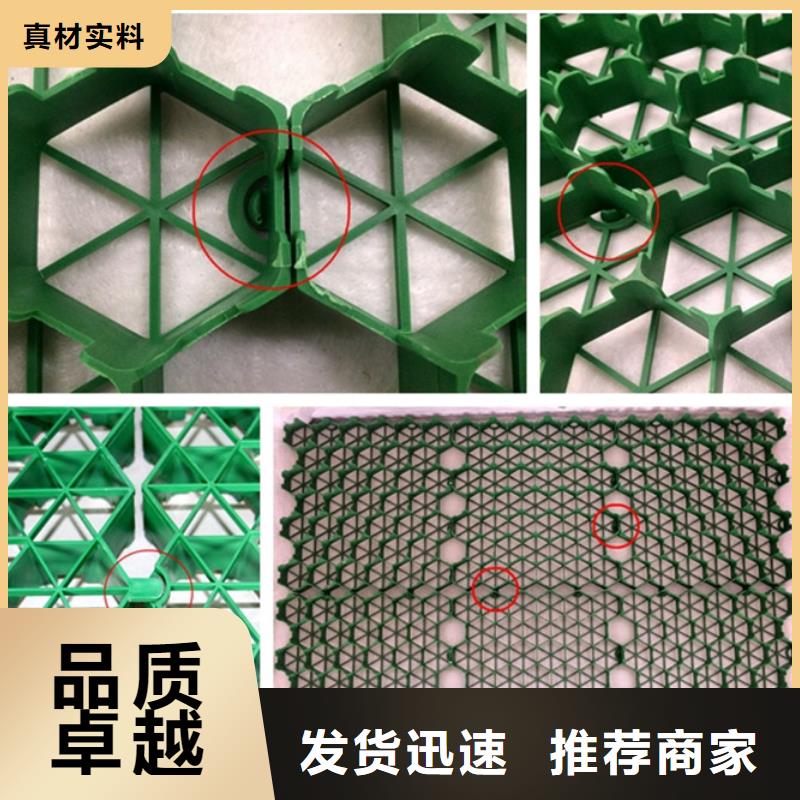 塑料植草格来电咨询