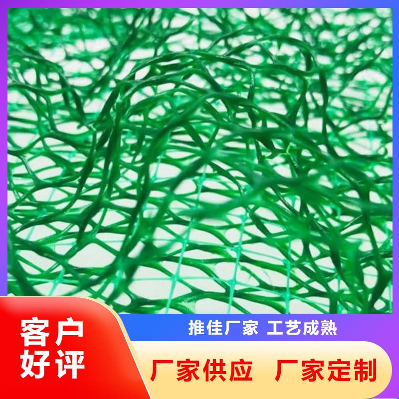 三維植被網(wǎng)排水板真正的源頭廠家