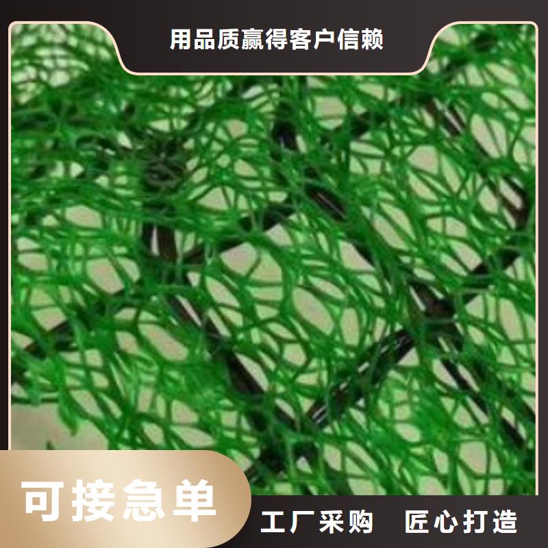 三維土工網墊廠家定制價