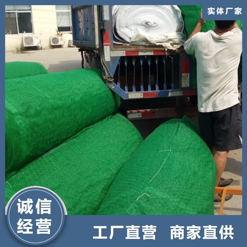 三维植被网水泥化粪池品质可靠