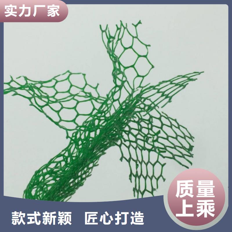 三维植被网价格-生产厂家