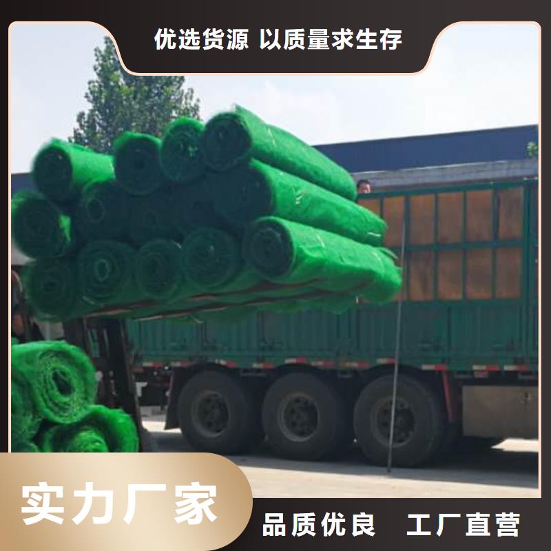 三維植被網本地生產商