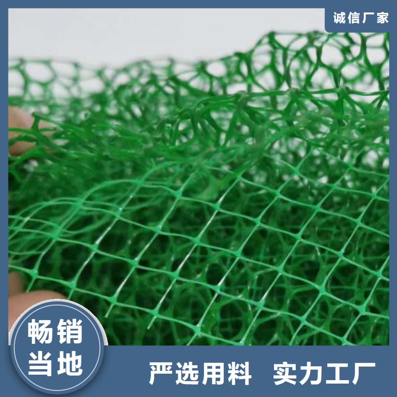 三維植被網排水板品牌專營