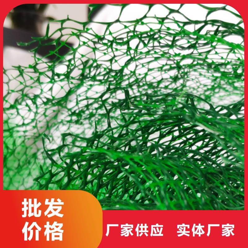 三维植被网【植草格】出货快