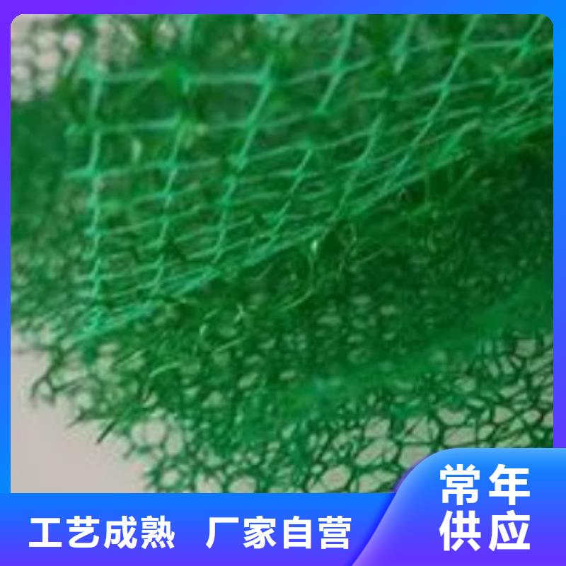 【三维植被网】车库虹吸排水系统热销产品