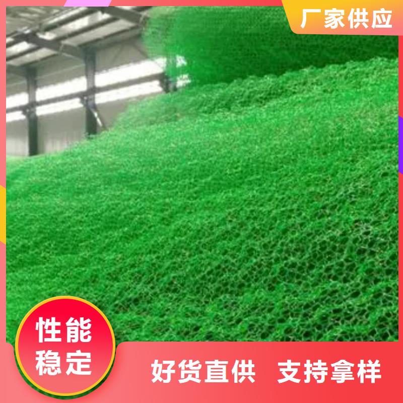 三维植被网_【防护虹吸排水收集系统】选择大厂家省事省心