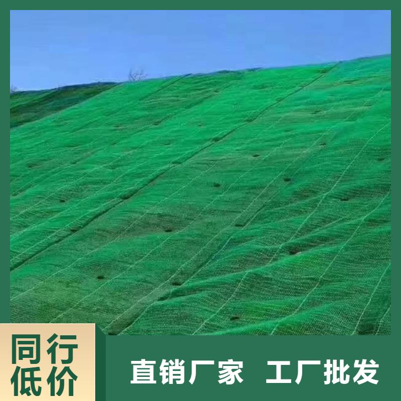 三維植被網_防護虹吸排水收集系統優質原料