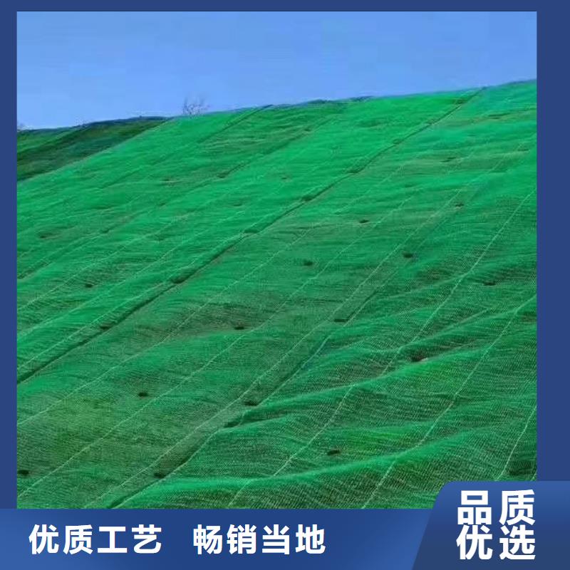 三维植被网排水板支持大批量采购