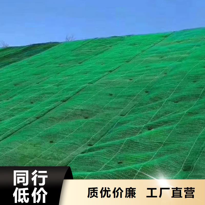 三维植被网三维土工网垫