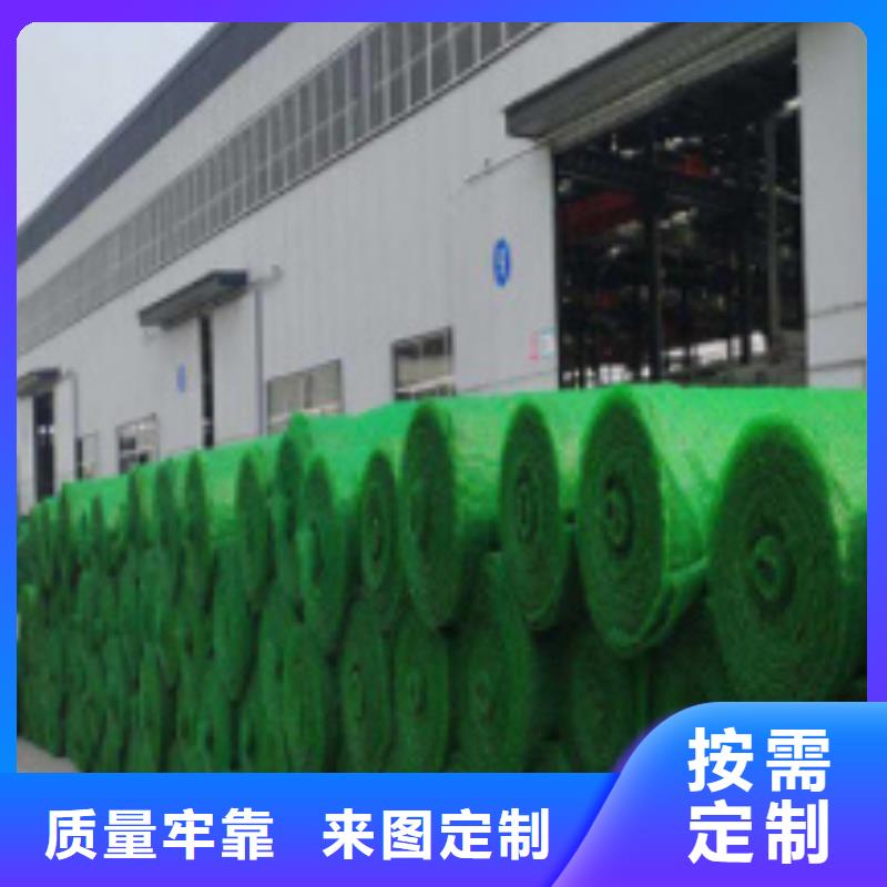三維植被網(wǎng)防護(hù)虹吸排水收集系統(tǒng)大廠家實(shí)力看得見