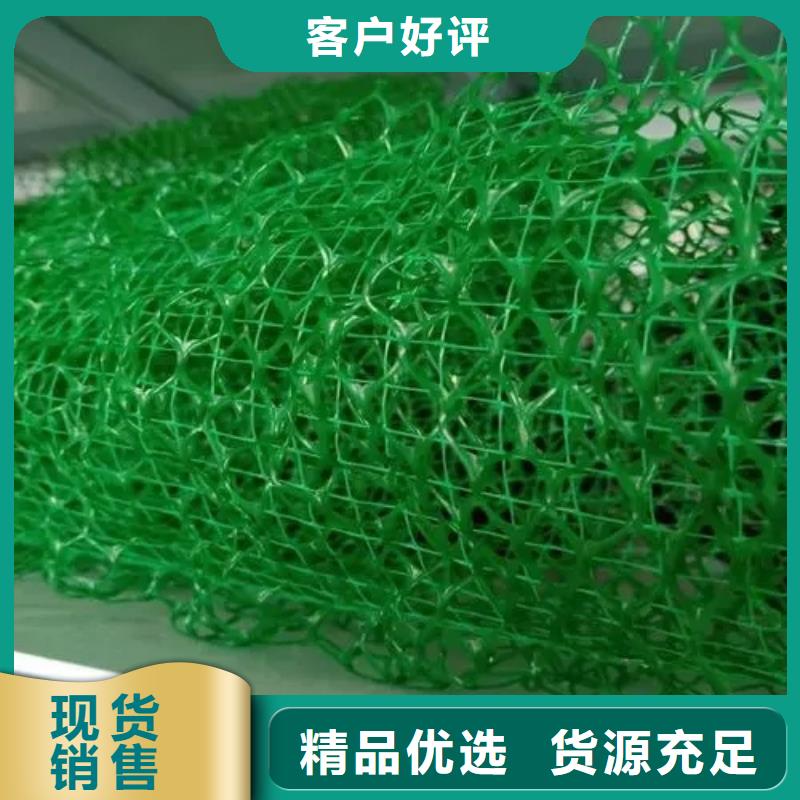 三維植被網廠家供應邊坡復綠