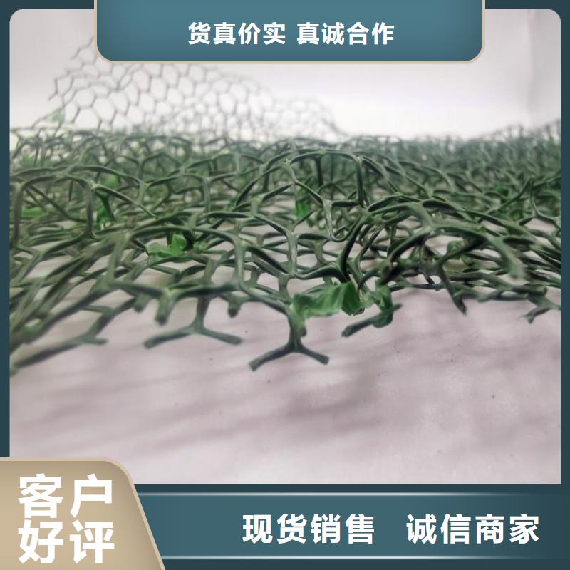 三维植被网实业公司