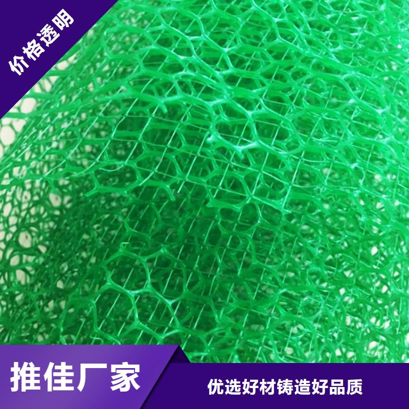 三維植被網排水板品牌專營