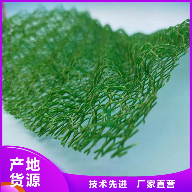 三維植被網(wǎng)品牌