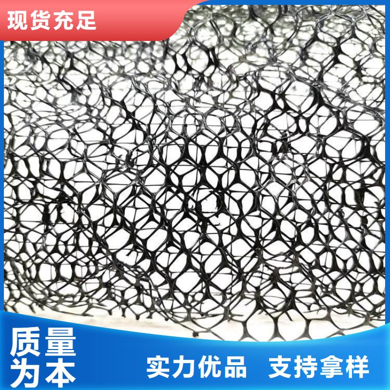 三维植被网护坡土工网厂家