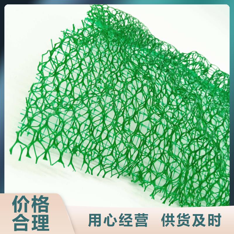 附近【朋联】三维植被网价格-生产厂家