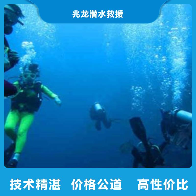 水下作业价格