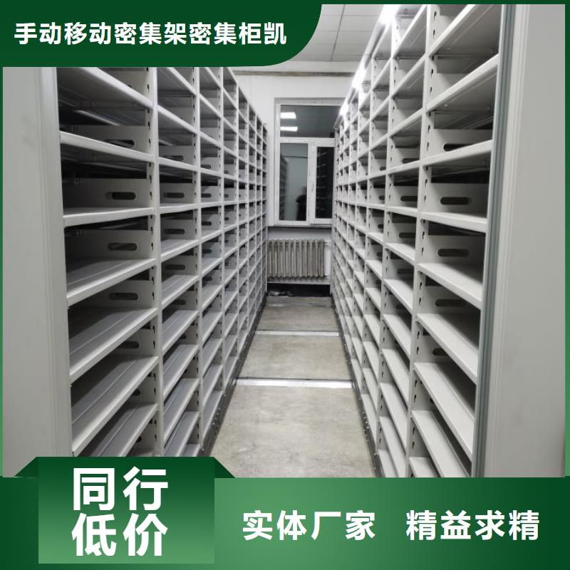 務(wù)實(shí)發(fā)展【凱美】資料庫密集架