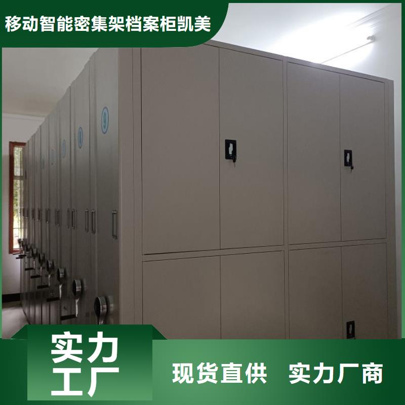 销售厂家【凯美】货物密集柜