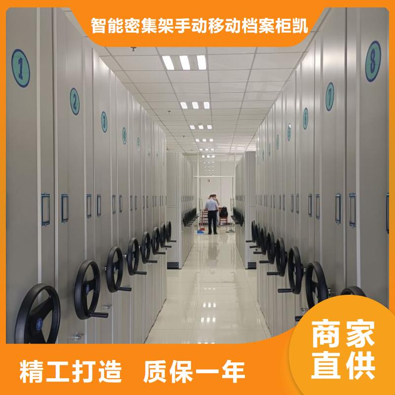 銷售廠家【凱美】櫥式密集架