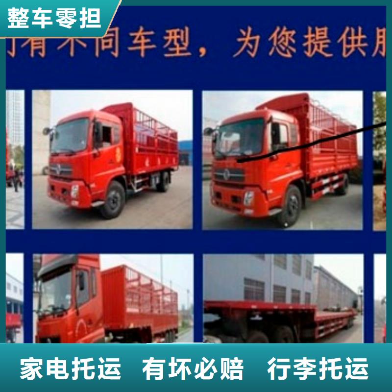 重庆到漳州回程货车整车运输公司 2024(当天派送）